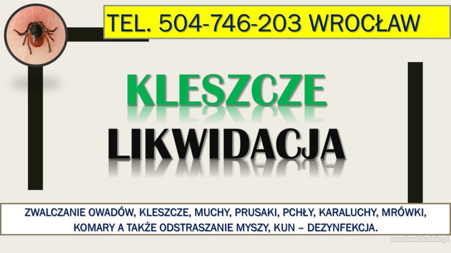 Likwidacja kleszczy, Wrocław, tel. 504-746-203. Opryskiwanie na kleszcze