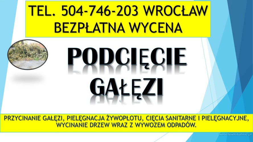 Przycinanie gałęzi, cena tel. 504-746-203, Wrocław,  wycinka