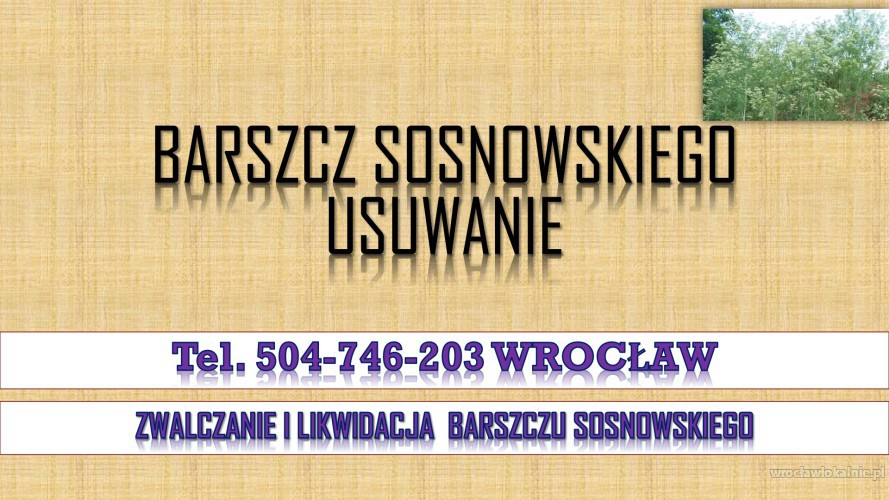 Likwidacja barszczu Sosnowskiego, tel. 504-746-203