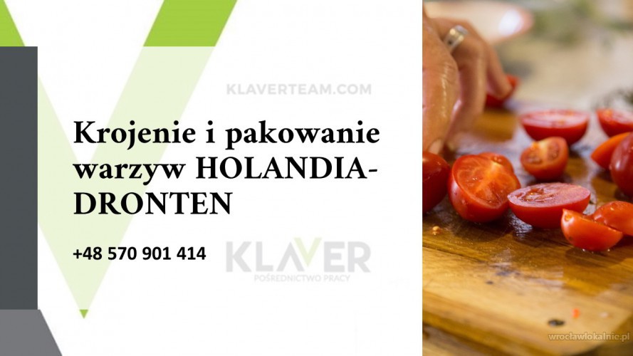 salatki-obiadowe-produkcja-krojenie-i-pakownie-warzyw-holandia-77808.jpg