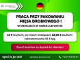 Pracownik produkcji (k/m) bez znajomości języka Zwrot kosztów dojazdu!