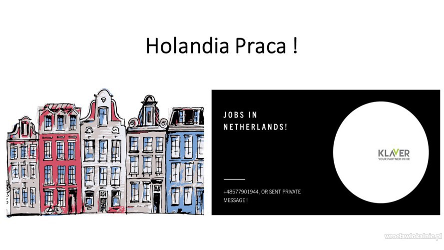 Holandia – Praca od zaraz!