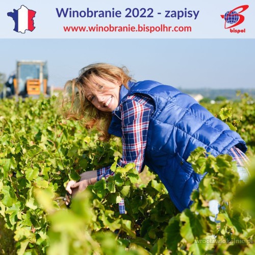 winobranie-francja-2022-82999.jpg