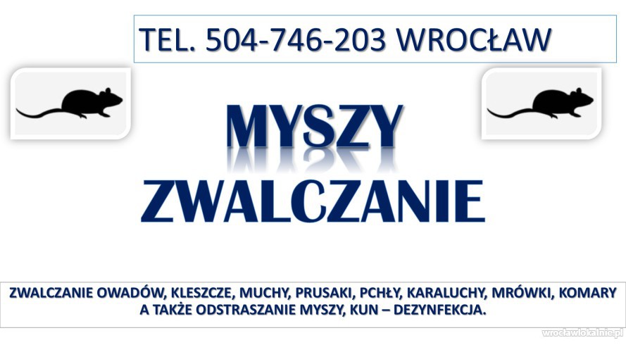 Likwidacja i odławianie myszy, tel. 504-746-203, Wrocław. Cennik zwalczanie