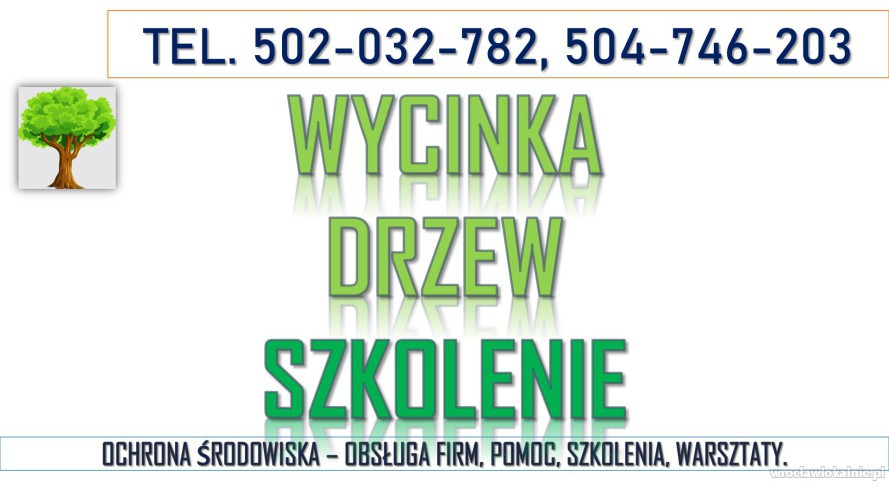 1_wycinka_drzew_szkolenie_cena.jpg