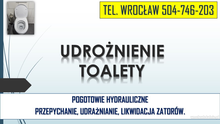 1_odetkanie_toalety_wroclaw.jpg