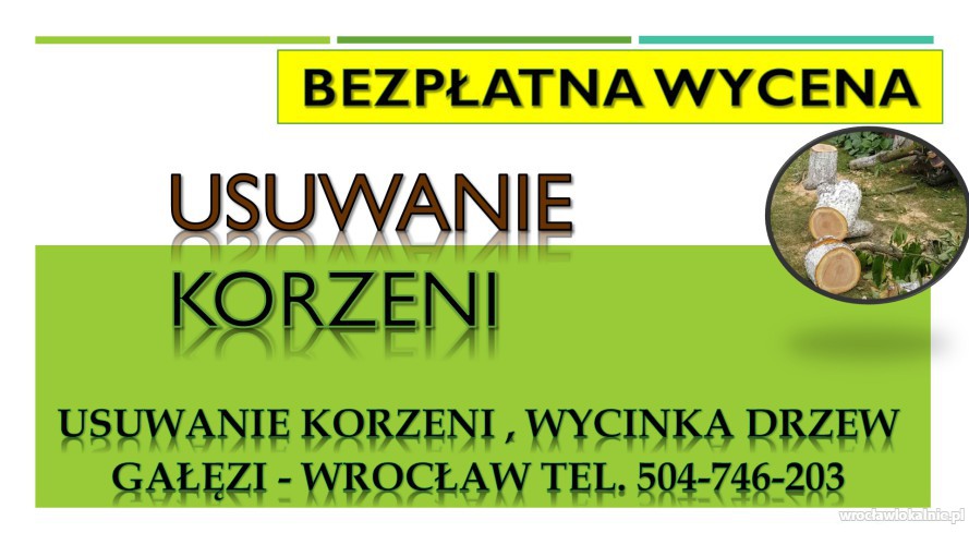 Usuwanie korzeni, cennik , tel. 504-746-203. Wrocław. Pni