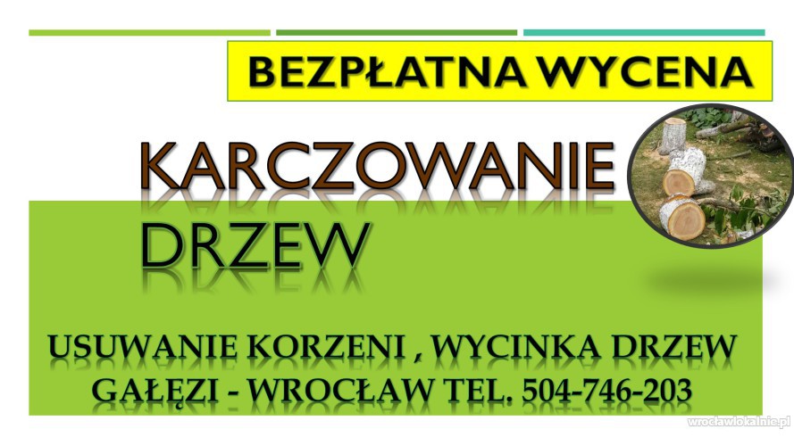 2_wykopanie_korzeni_drzew_usuniecie_wroclaw.jpg