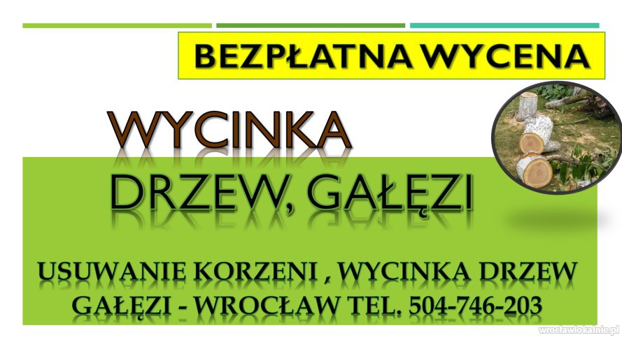 4_wyciecie_drzewa_wroclaw_cennik_wroclaw.jpg