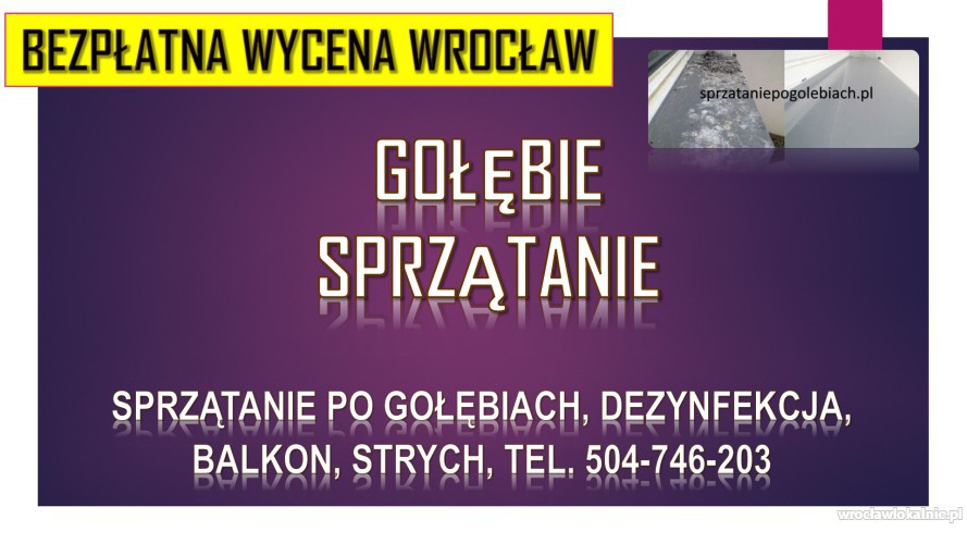 Ile kosztuje sprzątanie po gołębiach tel. 504-746-203, we Wrocławiu ?
