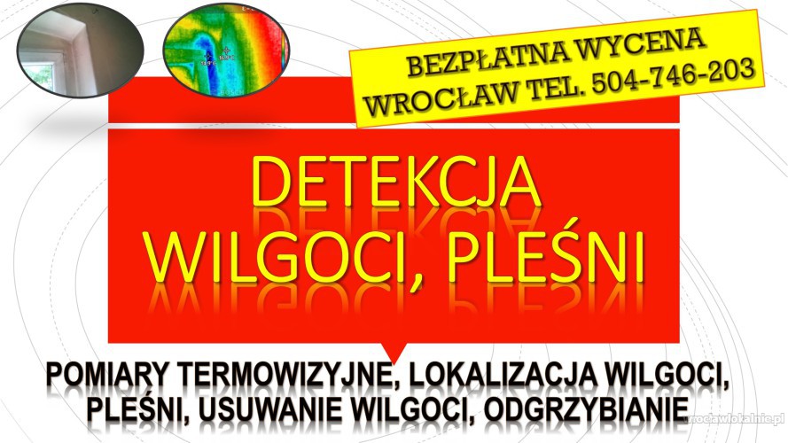 Wykrywanie i przyczyny wilgoci, Wrocław, tel. 504-746-203, cena