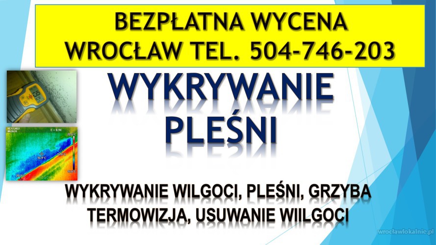 Wykrycie pleśni, tel. 504-746-203. Wrocław, wykrywanie, pleśń, lokalizacja
