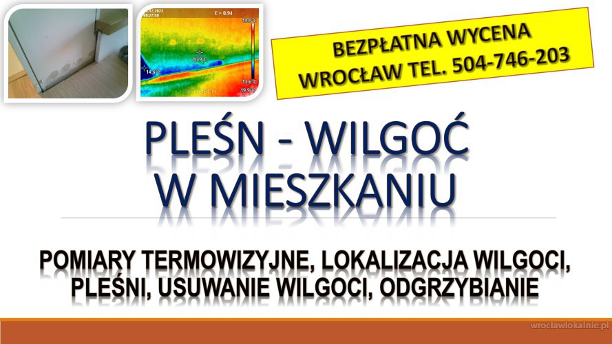 Wykrycie grzyba w mieszkaniu, tel. 504-746-203, Wrocław, lokalizacja pleśni