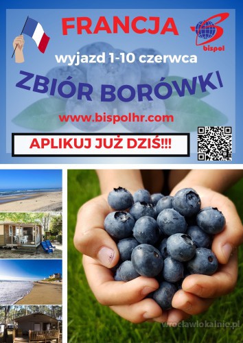 zbior-borowki-we-francji-90582.jpg
