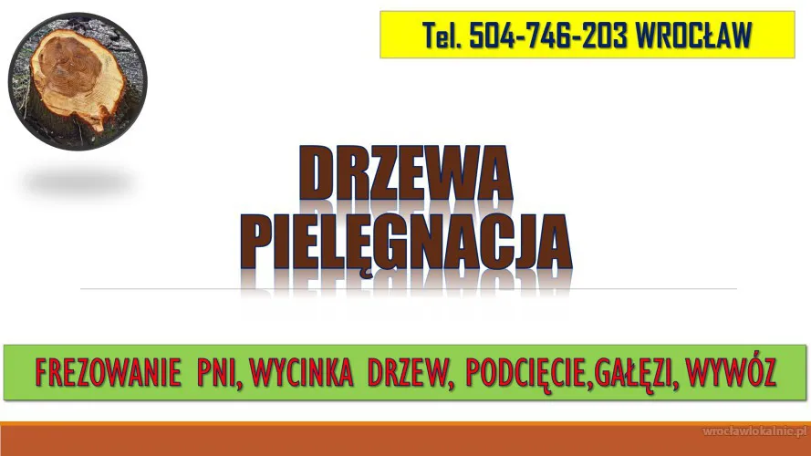 4_ile_kosztuje_frezowanie_pnia_cena_wroclaw.webp