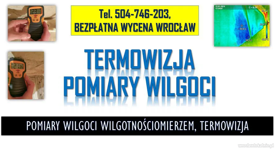 4_uslugi_pomiaru_wilgoci_i_termowizji_wroclaw.webp