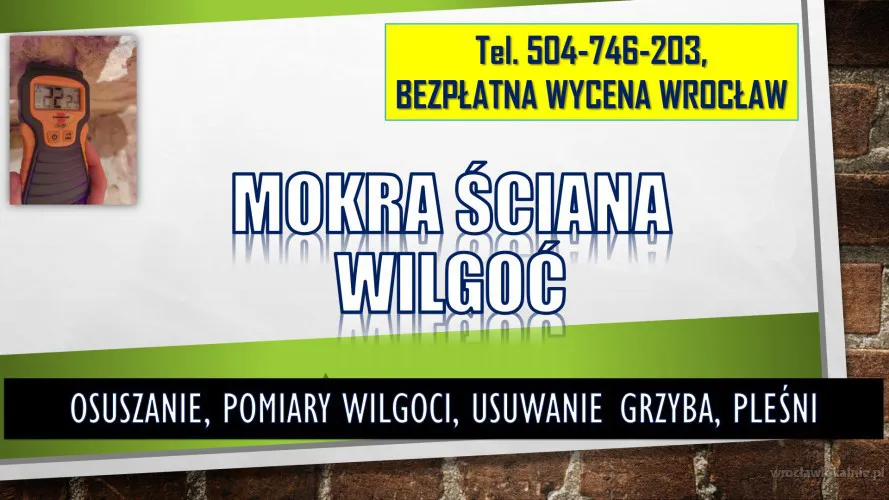 1_mokra_sciana_pomiary_wilgoc_wroclaw.webp