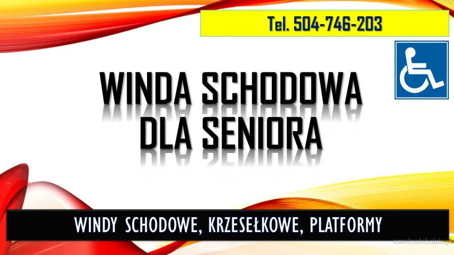 1_winda_schodowa_dla_seniora_z_montazem_cena.webp