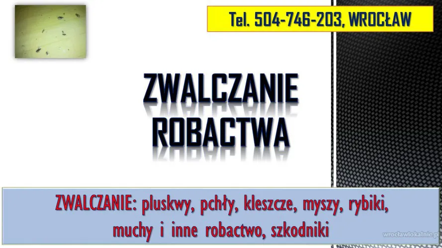 1_rybiki_zwalczanie_wroclaw_cena.webp