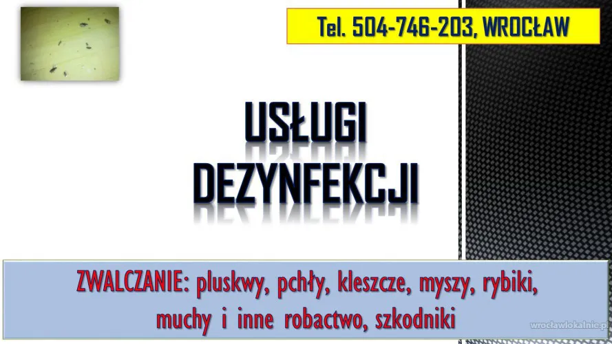 4_uslugi_dezynfekcjji_cennikwroclaw_rybiki,_pluswy_kleszcze_mrowki.webp