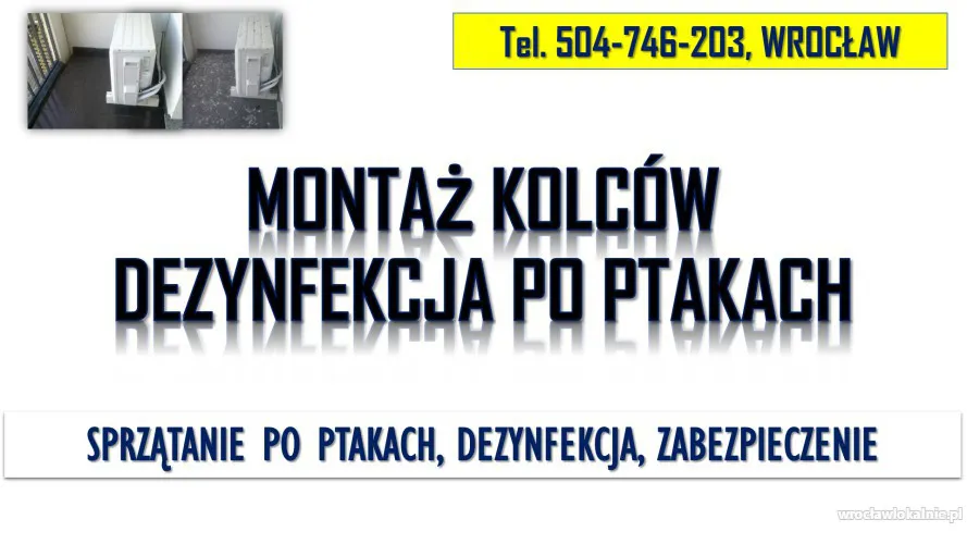 4_montaz_kolcow_na_golebie_i_ptaki_wroclaw_cena.webp