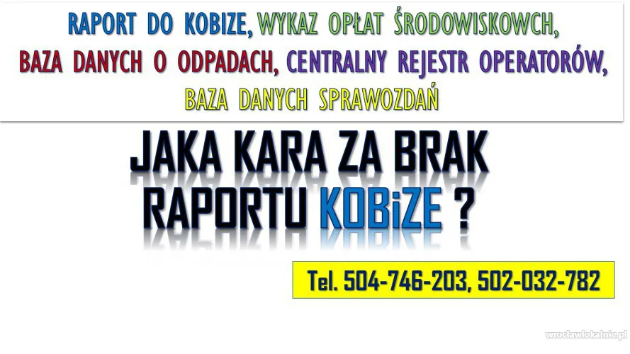 2_brak_raportu_do_kobize_kara2.webp