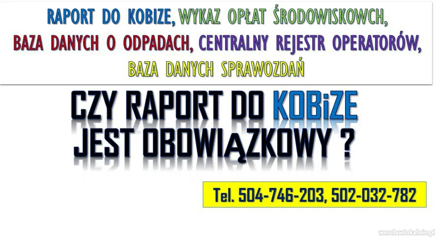 3_ile_wynosi_kara_za_brak_raportu_do_kobize1.webp