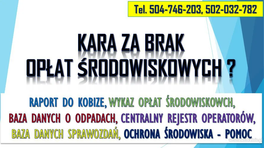 Jaka kara za brak opłat środowiskowych tel. 502-032-782, Wykaz opłat, pomoc