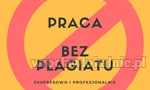 Zawodowe Pisanie i Redagowanie Prac