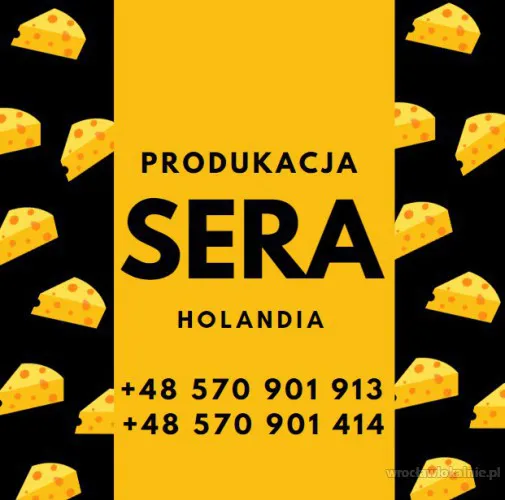 produkcja-sera-holandia-bez-prawa-jazdy-98573.webp