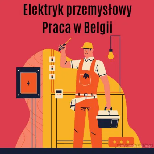 elektryk-przemyslowy-belgia-wym-jezyk-angielski-98611.webp