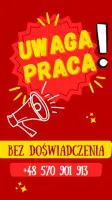 Praca za granicą- OD zaraz- Holandia- Niemcy