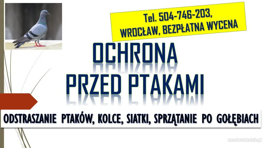 1_odstraszanie_ptakow_wroclaw.webp