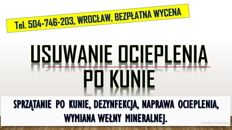 Naprawa, ocieplenia, izolacji, tel. 504-746-203, Wrocław, po kunie