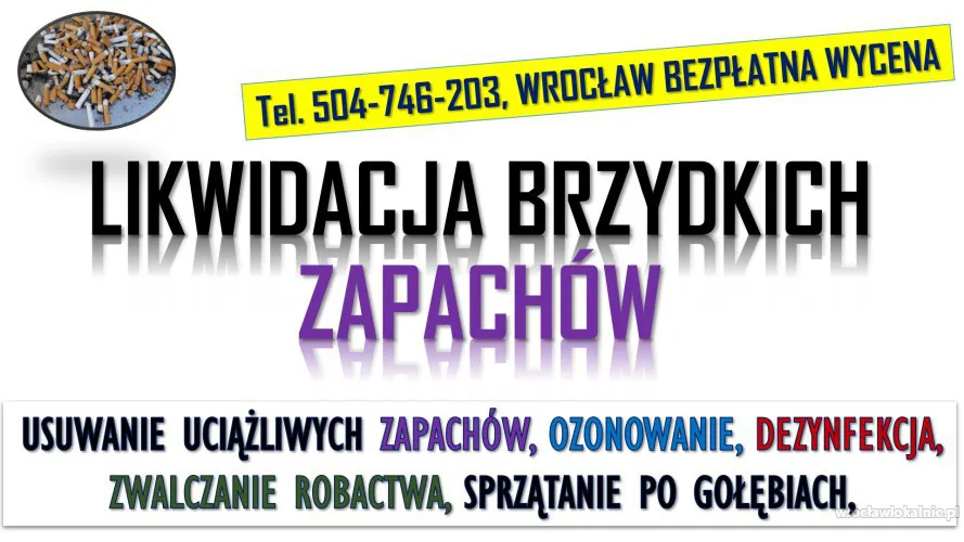 1_likwidacja_brzydkich_zapachow_wroclaw_cena.webp