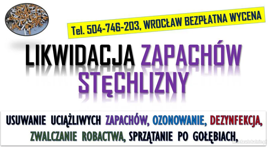 2_likwidacja_uciazliwych_zapachow_stechlizny_wroclaw.webp