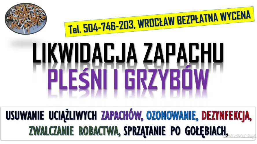 4_usuwanie_i_likwidacja_zapachu_plesni_i_grzybow_wroclaw.webp