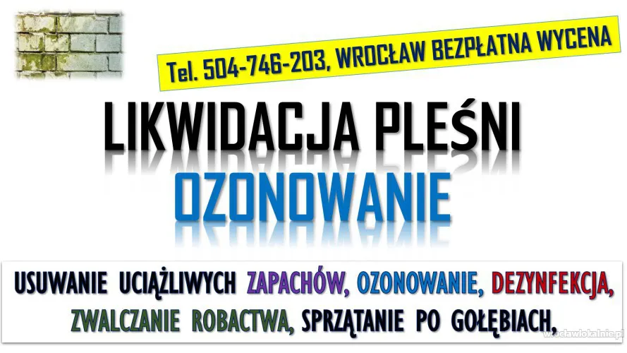 1_usuwanie_plesni_wroclaw_w_mieszkaniu.webp