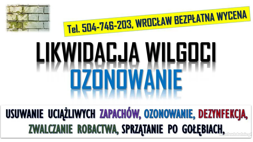 2_usuwanie_wilgoci_w_mieszkaniu_ozonowanie_wroclaw.webp