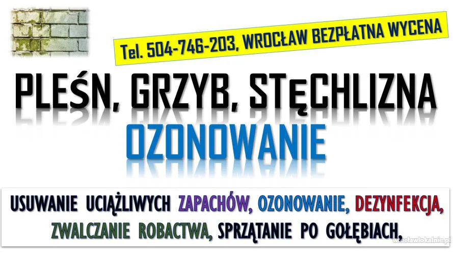 4_usunie_plesni_likwidacja_zapachu_wilgoci_i_grzybow_wroclaw.webp