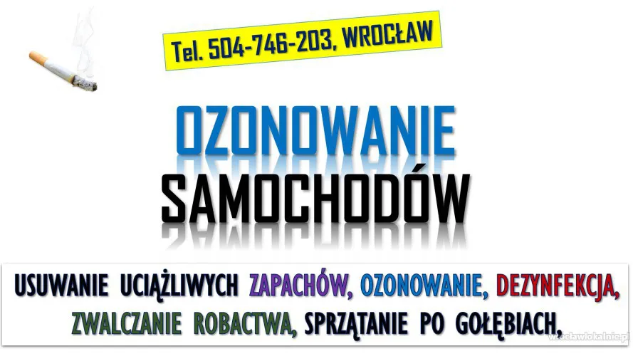 3_ozonowanie_samochodow_cena_wroclaw.webp