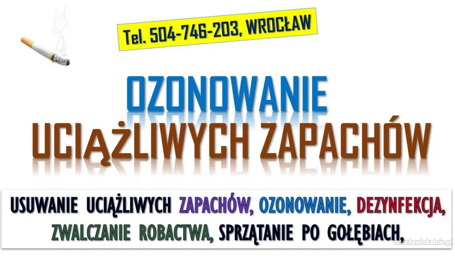 4_usuwanie_i_likwidacja_zapachu_dymu_papierosow_z_samochodu_cena_wroclaw.webp