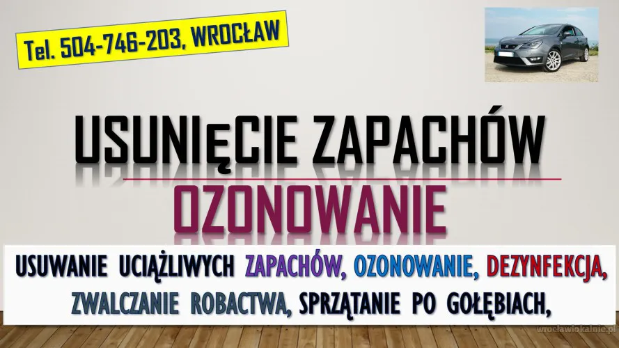 3_ile_kosztuje_ozonowanie_samochodu_wroclaw.webp