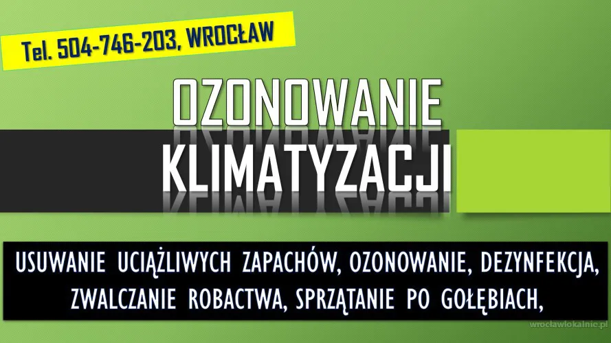 1_ozonownie_klimatyzacji_cena_wroclaw.webp