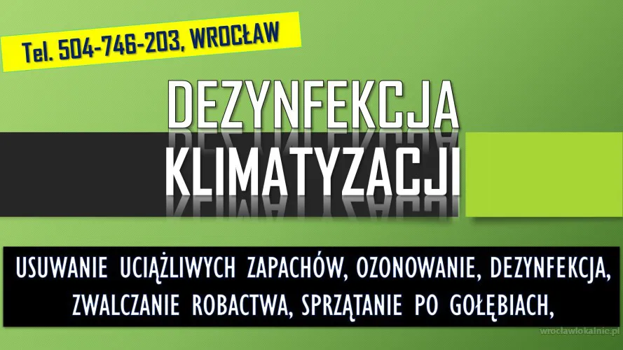 2_dezynfekcja_klimatyzacji_wroclaw_cena.webp