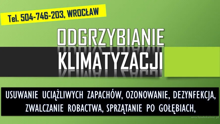 3_odgrzybianie_klimatyzacji_wroclaw.webp