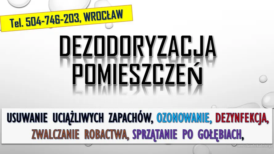 3_uslugi_ozonowania_wroclaw.webp