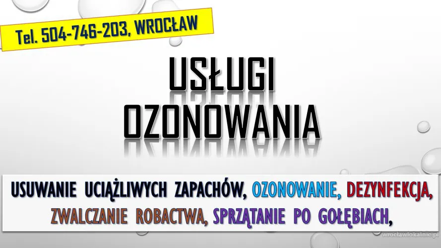 4_uslugi_oznowania_wroclaw_cennik.webp