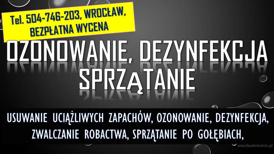 4_uslugi_oznowania_dezynfekcji_wroclaw_sprzatanie.webp