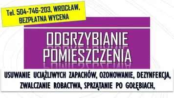 Odgrzybianie pomieszczeń, cena, tel. 504-746-203, Wrocław.  pleśni